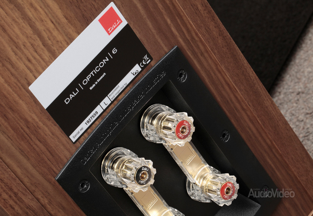 DALI_Opticon_6_07.jpg