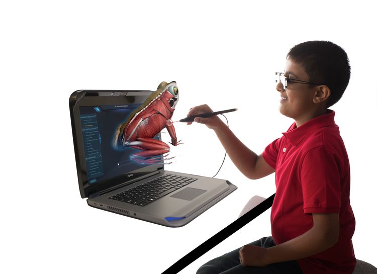 Boy_With_Laptop_And_Frog.jpg