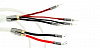 Акустический кабель Atlas Asimi с проводниками на основе серебра 2 x 2, 2.0 м [разъем Банан Z типа, позолоченный]