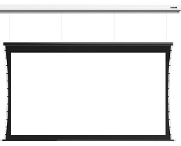 Экран встраиваемый Digis Paramount-Alt DSITA-16910