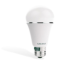 Светодиодные лампы SAVANT LIG-IA19C4-00