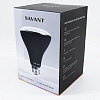 Светодиодные лампы SAVANT LIG-IBR30C4-00