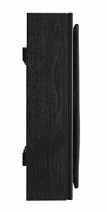 Настенная акустическая система DALI OBERON ON-WALL Цвет: Черный дуб [BLACK ASH]