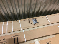 Kauber Frame Velvet Cinema 172" 16:9 214x380 Microperf MW