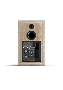 Полочная активная АС DALI OBERON 1 C Цвет: Светлый дуб [LIGHT OAK]