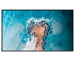 ЖК-панель Hisense 55DM66D 55"