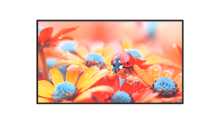 ЖК-панель Exell EXPD-DA65AB5 65"
