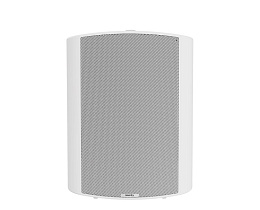 Акустическая система Nearity ASP110