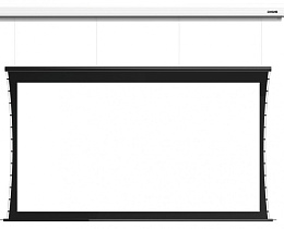 Экран встраиваемый Digis Paramount-Alt DSITA-16913