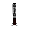 Dynaudio Confidence 60 Цвет: Красное дерево [RUBY WOOD]