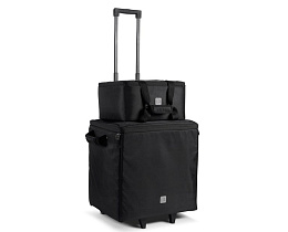 Комплект аксессуаров LD Systems DAVE 10 G4X BAG SET