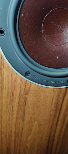 Напольная акустическая система DALI RUBICON 8. Цвет: Орех [NATURAL WALNUT]