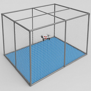 Полетная зона 5х3х3м. (ДхШхВ) с амортизирующим покрытием Полетная зона 5х3х3м. (ДхШхВ) с амортизирующим покрытием