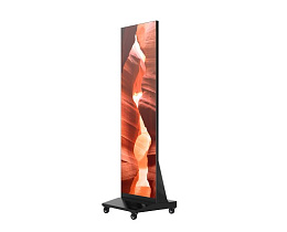 Светодиодный постер КЬЮСТЕЧ (QSTECH) 72" 2719, 624х1910