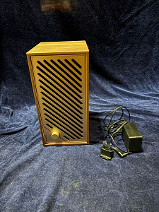 Аудиосистема с Wi-Fi Tivoli Model Two Digital. Цвет: Орех/Золото [Walnut/Gold]