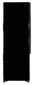 Напольная активная акустическая система DALI RUBICON 6 C Цвет: Чёрный лак [BLACK HIGH GLOSS]