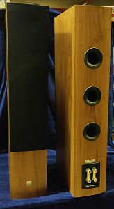 Напольная акустическая система DALI RUBICON 8. Цвет: Орех [NATURAL WALNUT]