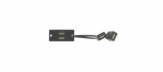[WU-2AA (B)] Модуль-переходник два USB розетка А-розетка А; цвет черный