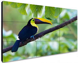 ЖК-панель для видеостен Exell EXPD-WA55AB15 55"