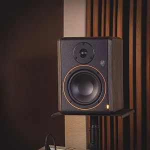 Студийный монитор Palmer STUDIMON 5 Студийный монитор Palmer STUDIMON 5
