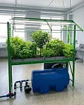 Гидропонная установка VeFarm ТО*