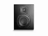 Настенная акустическая система M&K Sound D95. Цвет: Матовый черный [Black Satin/Black Cloth]