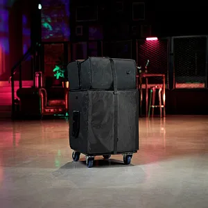 Комплект аксессуаров LD Systems DAVE 12 G4X BAG SET