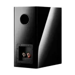 Полочная АС Dynaudio Evoke 20 Цвет: Чёрный глянцевый [BLACK HIGH GLOSS]