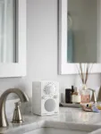 Портативный радиоприемник Tivoli PAL BT Цвет: Белый [White]