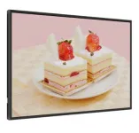 ЖК-панель Exell EXPD-DA55AH5 55"