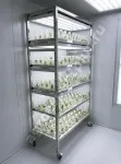 Микроклональная установка VeFarm-Invitro