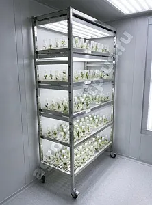 Микроклональная установка VeFarm-Invitro