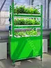Мобильная многоярусная гидропонная установка модульного исполнения  VeFarm-ED