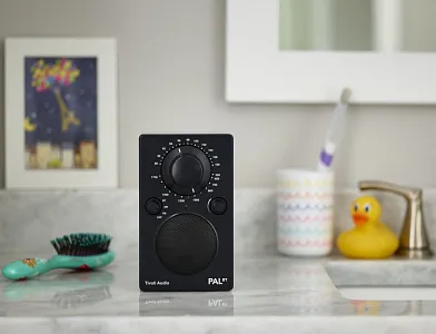 Портативный радиоприемник Tivoli PAL BT Цвет: Черный [Black]