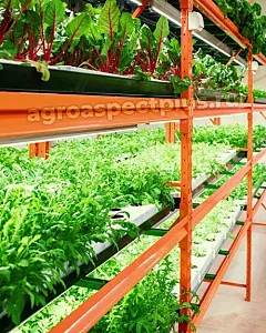 Гидропонная установка  VeFarm GR* 3 яруса