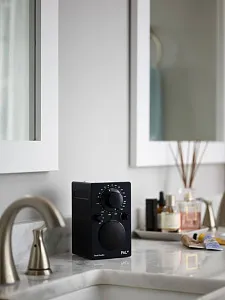 Портативный радиоприемник Tivoli PAL BT Цвет: Черный [Black]