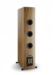 Напольная АС DALI RUBIKORE 8 Цвет: Натуральный орех [NATURAL WALNUT]
