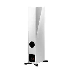 Напольная АС Dynaudio Evoke 30 Цвет: Белый глянцевый [WHITE HIGH GLOSS]