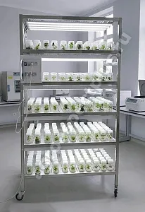 Микроклональная установка VeFarm-Invitro