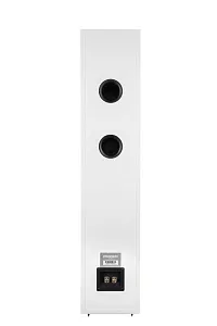 Комплект стереоусилитель Phaze Audio VOLT Цвет: Чёрный [Black] + напольная АС Phaze Audio Tilia 1 Цвет: White [Белый]